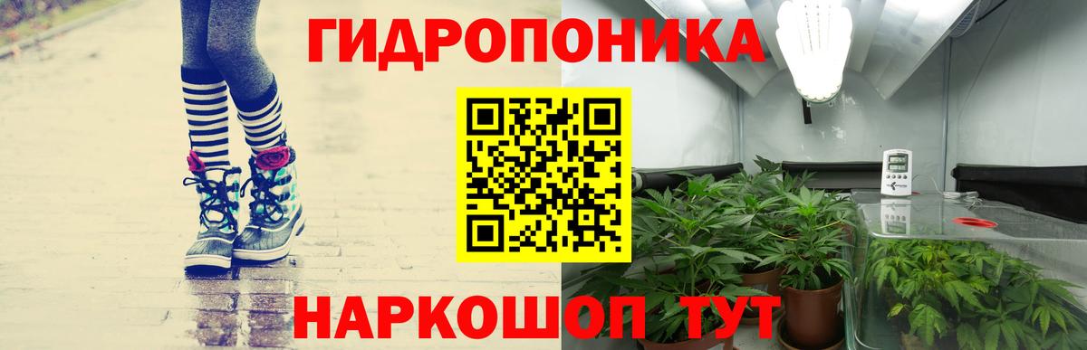 Марихуана индика Кушва